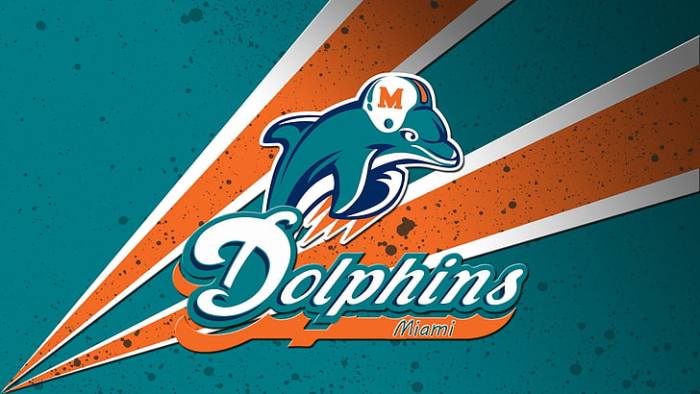 Miami dolphins wall decor