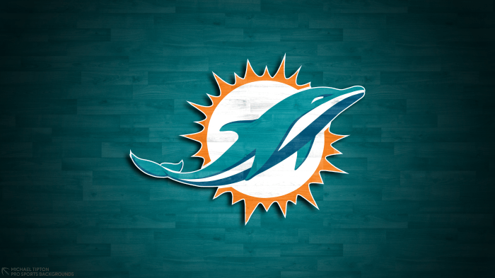 Dolphins miami logo article team