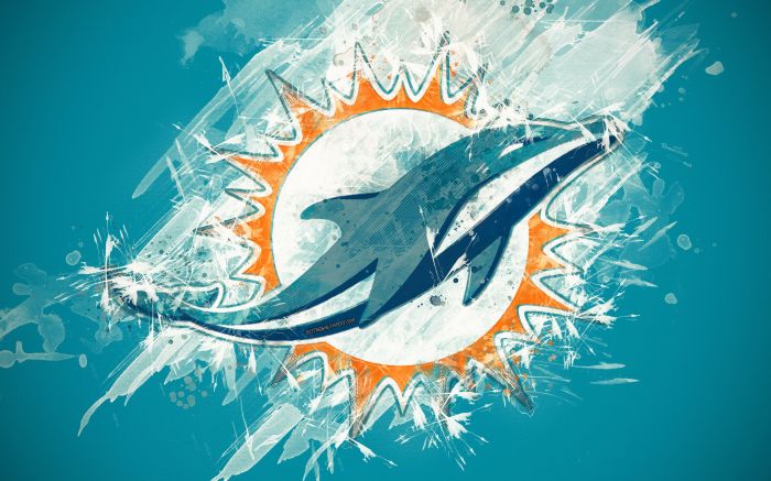 Miami dolphins wall decor