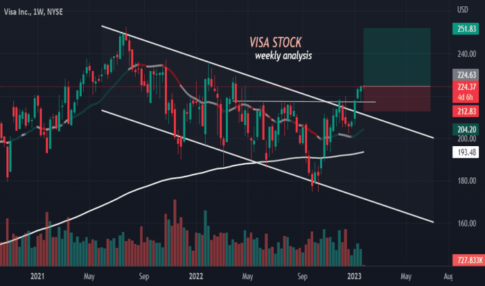 Visa stock price