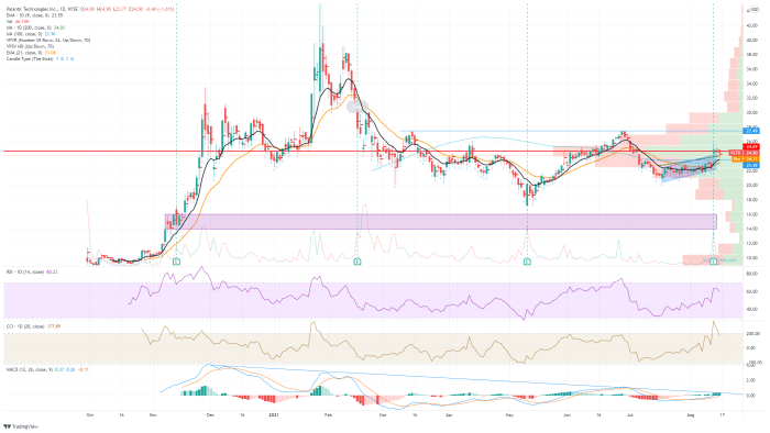 Stock palantir technologies 2020 runway growth long has nov