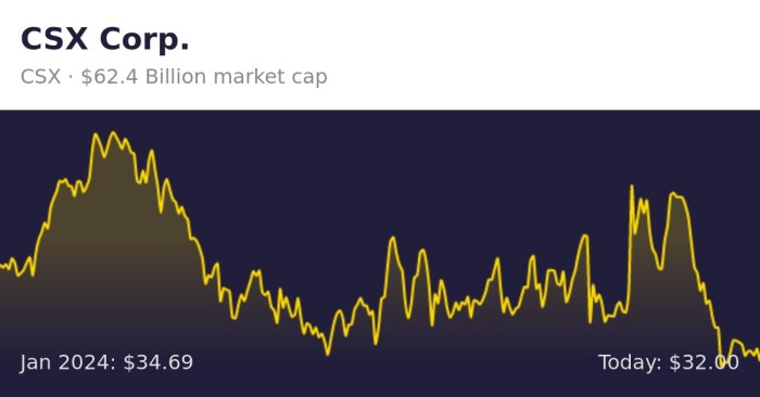 Csx stock price